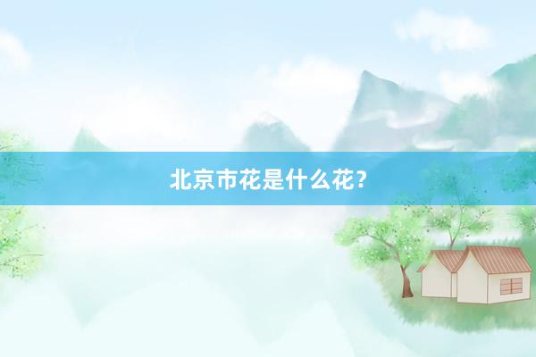 北京市花是什么花?